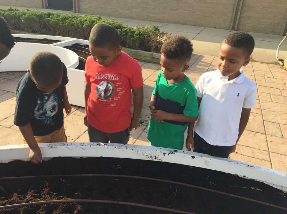 Students are planting seeds in our garden.