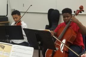 Cello and Viola Section