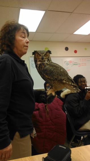 owl perched on handlers hand in classroom