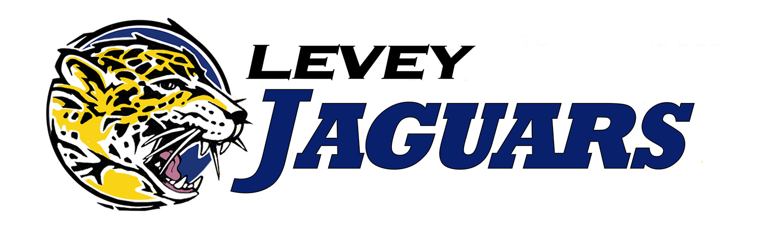 Levey Logo Banner