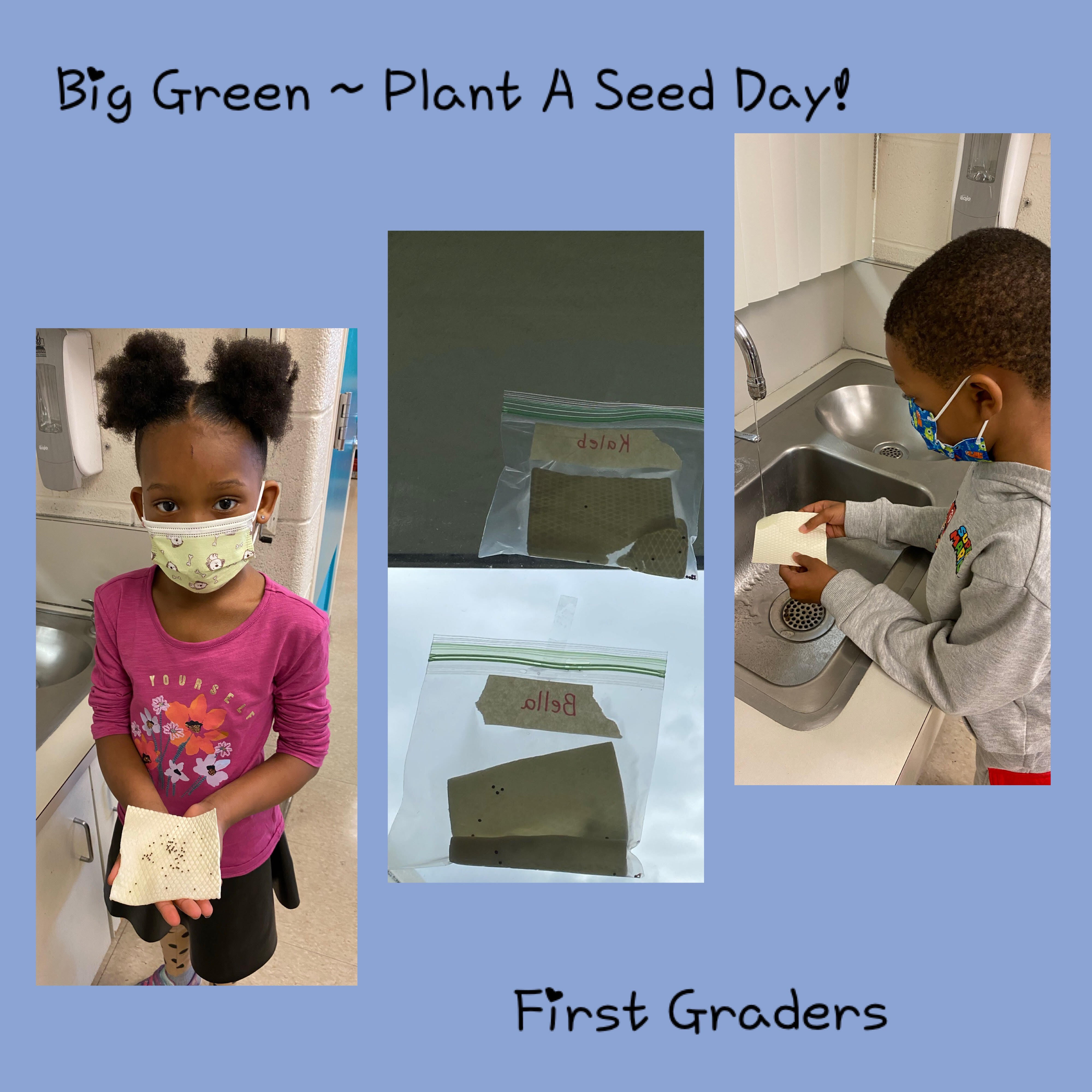 First Grade Planting Kale