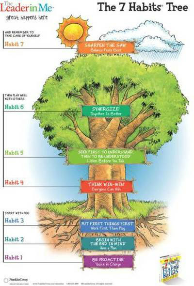 7 habit tree
